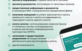 Без имени-1